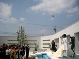 bouquet toss