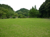 百年公園の芝生