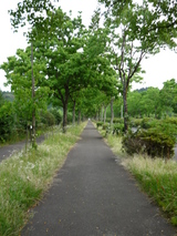 百年公園への道